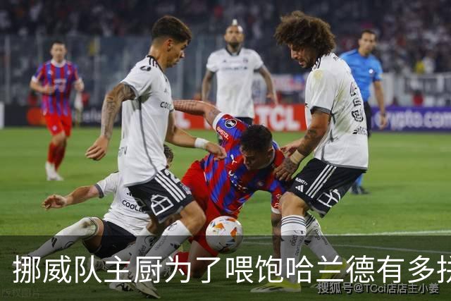 挪威队主厨为了喂饱哈兰德有多拼？他每天要补充6000卡路里热量，进入淘汰赛后球队紧急订购食材