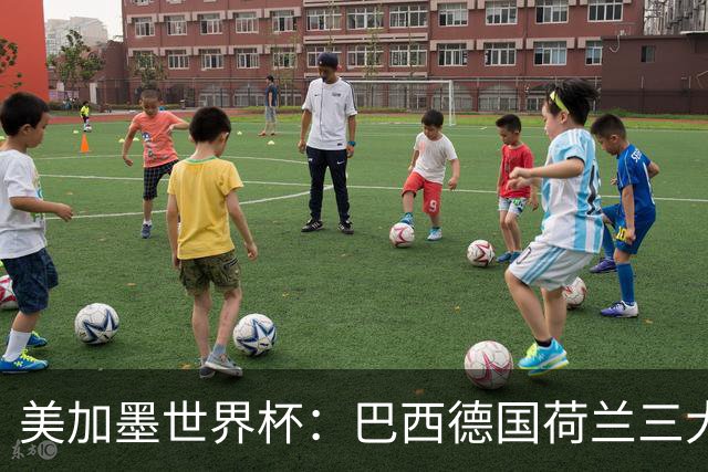 美加墨世界杯：巴西德国荷兰三大豪门将出战